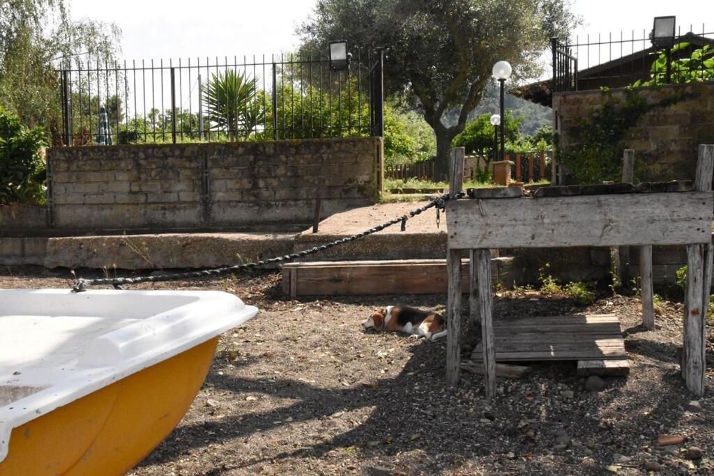 Independent Villa With Private Beach On The Lake Bracciano  Eksteriør bilde