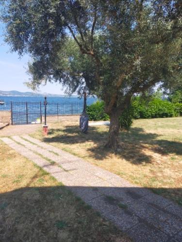 Independent Villa With Private Beach On The Lake Bracciano  Eksteriør bilde