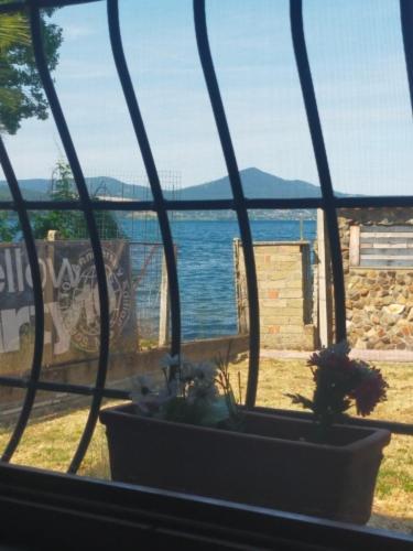 Independent Villa With Private Beach On The Lake Bracciano  Eksteriør bilde